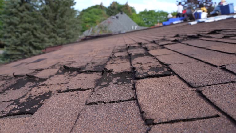 Best Storm Damage Roof Repair  in Hutchison, VA